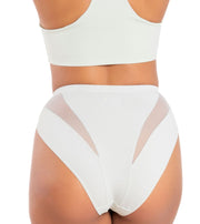 High Waisted Mesh Panel Cheeky